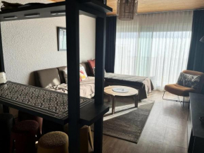 Résidence Montana - APPARTEMENT ALPE D'HUEZ HAUT DE STATION MAE-2331 Huez